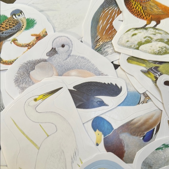 Colorful Bird Stickers Set - beautiful variety, multicolor - Picture 2 of 8